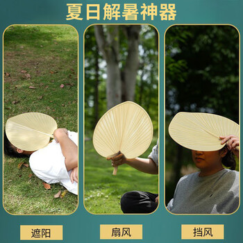 巢极佳品夏季蒲扇塑料芭蕉扇葵扇家用老式扇子儿童夏天扇子塑料便携扇子