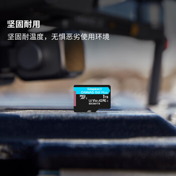 金士顿（Kingston）1TB TF（MicroSD）存储卡 内存卡U3 V30 A2 4K适配大疆Pocket 3/Action 5/无人机/运动相机/监控