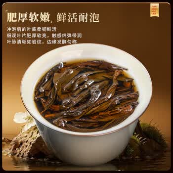 福东顺 茶叶 武夷岩茶肉桂乌龙茶浓香型中火碳焙高香型大红袍礼盒装500g