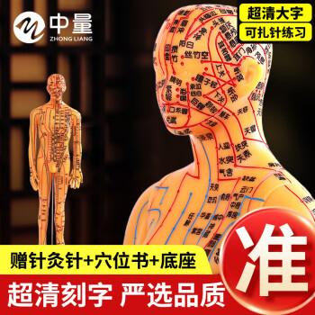 人体模型- 京东