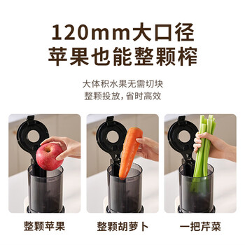 九阳（Joyoung）LZ5原汁机多功能家用电动立式榨汁机全自动果汁果蔬机渣汁分离榨汁机 榛果金