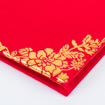 Touch Fish 结业证书奖状封皮证书外壳空白内芯烫金红色绒面进修培训 大12K结业证书（10本装）附20张内芯