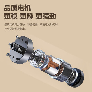 志高（CHIGO）波轮洗衣机 12KG大容量全自动毛毯洗 家用租房宿舍智能洗脱一体蓝光洗护 XQB120-118 