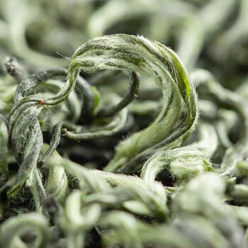 醉君怀茶叶绿茶明前碧螺春特级2026新茶陶瓷240g礼盒装送人茶叶节日父亲