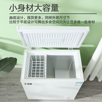 志高（CHIGO）冷柜. 家用小型一级节能省电 迷你卧式冷藏保鲜储母乳冷柜 158L单温单门【企采购】