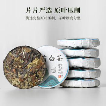 七春薄荷白茶 老白茶小饼500g福鼎贡眉口粮可冷泡自喝便携节日送礼