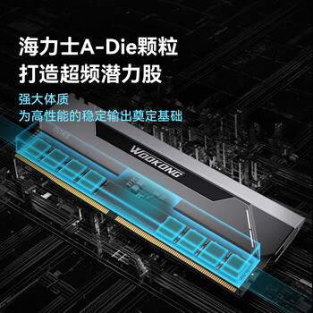 佰维（BIWIN）32G(16G×2)套装 DDR5 6000频率台式机内存条 斗战行者HX100 马甲条(C28)黑色AI PC电脑存储配件