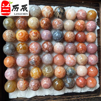 珊瑚玉排行- 京东