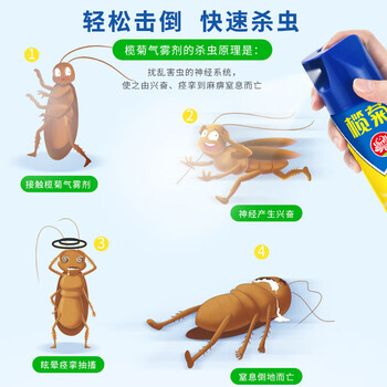 榄菊【整箱 强力驱灭杀18种害虫等】茉莉花香速杀气雾剂500ml*12瓶