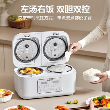 苏泊尔（SUPOR） 双胆电饭煲电饭锅家用不粘2+2L香甜饭煲仔饭多功能智能预约米饭锅 SF20TC601双胆双控 4L