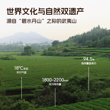 孝文家茶乌龙茶武夷岩茶醇香大红袍一级149.4g中火茶叶自饮品鉴 茶叶礼盒