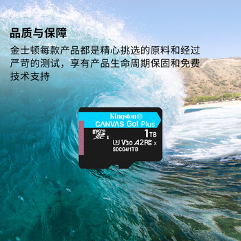金士顿（Kingston）1TB TF（MicroSD）存储卡 内存卡U3 V30 A2 4K适配大疆Pocket 4/Action 6/无人机/运动相机/监控