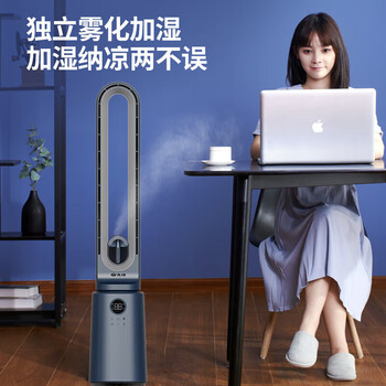 先锋无叶风扇家用空调扇 DWY-S3R 无叶落地扇智能摇头塔扇空气循环扇电扇等离子风扇变频直流 