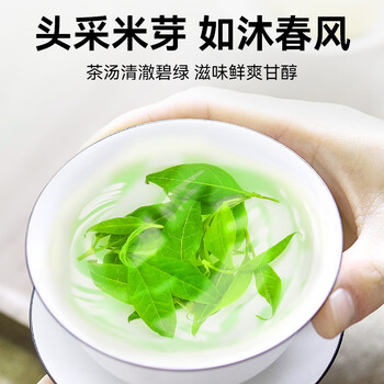 贡苑正宗贵州余庆小叶苦丁茶250g明前头采特级嫩芽端午节日礼盒送长辈