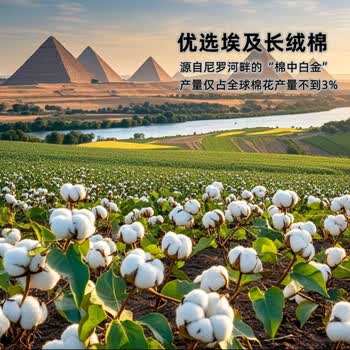 亚光毛巾纯棉A类埃及长绒棉柔软吸水不掉毛真彩面巾2条乳酪白/浅染灰