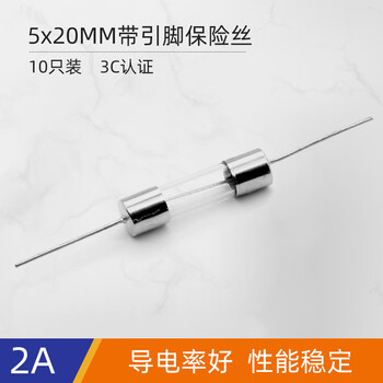 汇君 带引脚保险管保险丝熔断器250V保险丝引线 5*20mm带引脚 2A(10个) 