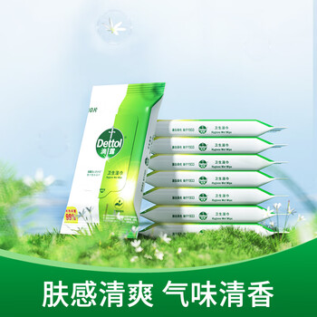 滴露（Dettol）湿巾湿纸巾10片*8包便携非酒精湿巾消毒湿巾羽绒服清洁湿巾厨房用