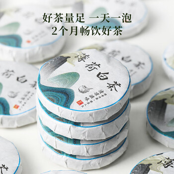 七春薄荷白茶 老白茶小饼500g福鼎贡眉口粮可冷泡自喝便携节日送礼
