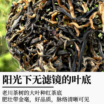 YizEnjoy四川茉莉红茶 大叶种红茶 浓香型茉莉花茶自己喝红茶蒙顶山80g