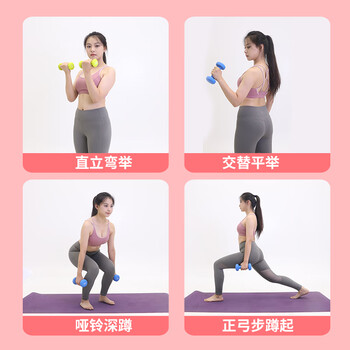 PROIRON普力艾 浸塑磨砂哑铃男女士家用哑铃健身哑铃套装亚铃 10磅*2 PROIRON普力艾 浸塑磨砂哑铃男女士家用哑铃健身哑铃套装亚铃 10磅*2