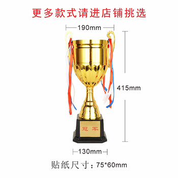 英翔盛金属奖杯自助打印体育比赛个人团体学生奖品篮球足球运动会金银铜杯银色款