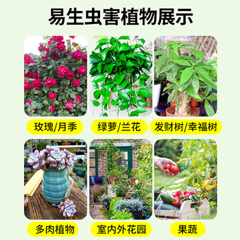 MEN WOO花卉杀虫剂喷雾植物土壤月季花草红蜘蛛小黑飞蚧壳蚜虫500ml