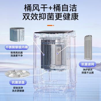 荣事达（Royalstar）波轮洗衣机12KG全自动大容量家用出租房健康桶自洁洗衣机  深灰色 RB12030J