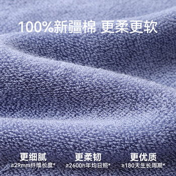 洁丽雅纯棉毛巾男士新疆棉纯棉100%洗脸毛巾洗澡家用 浅蓝+紫两条装运动