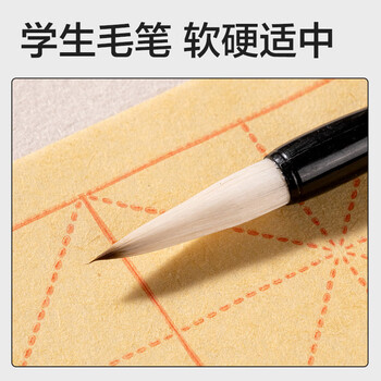 得力（deli）文房用品书法套装文房四宝毛笔砚台书法工具初学者入门临摹文房套装 7件套(混)(袋)开学用品