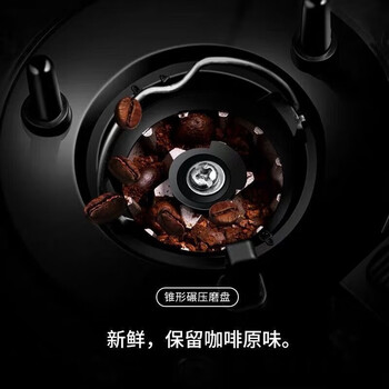 摩飞电器美式研磨一体机全自动家商用煮咖啡壶现磨咖啡豆咖啡机MR1103 珍奢黑（MR1103）