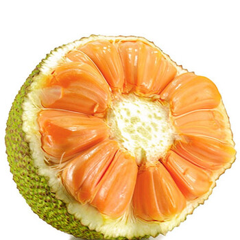 菠萝蜜泰国红肉菠萝蜜红肉菠萝蜜910斤