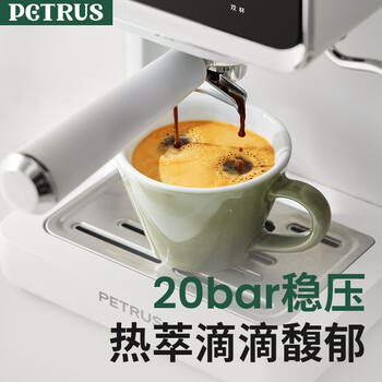 柏翠（petrus）冷萃咖啡机家用全半自动意式奶泡浓缩萃取冷热双萃 
