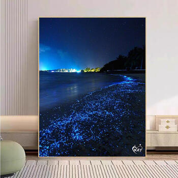 数字油画海景品牌及商品- 京东