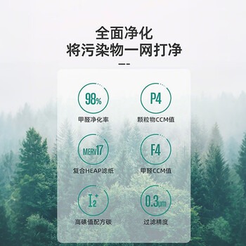 飞利浦（PHILIPS）空气净化器滤网滤芯FY0179/00适用于飞利浦空气净化器AC0917/00配件空净滤网