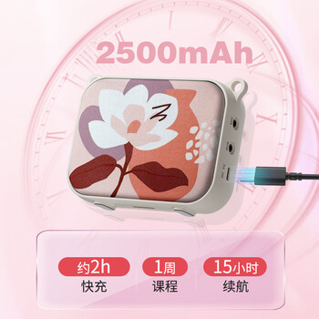 得胜（TAKSTAR）E30W 无线小蜜蜂扩音器教师专用导游喇叭腰挂便携式国风蓝牙小音箱喊话器无线讲课麦克风 柔月白