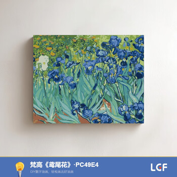 数字油画鸢尾花价格报价行情- 京东