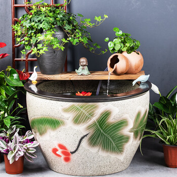 荷花缸金鱼品牌及商品- 京东