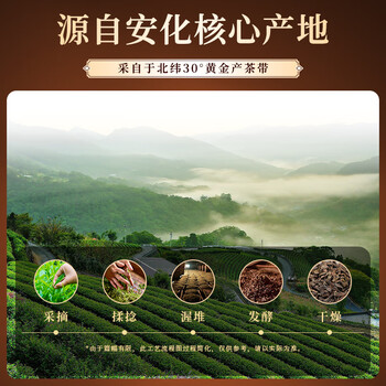 七春安化黑茶金花茯茶 散茶小包装茶叶湖南168g节日送长辈伴手礼物