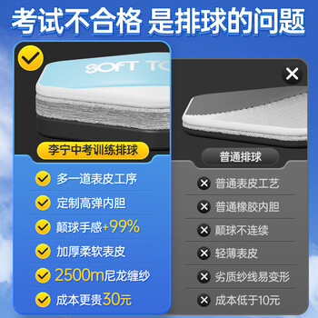李宁（LI-NING）排球【中考训练】比赛专用标准初中生成人儿童训练沙滩硬排5号球
