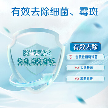 立白白衣漂渍液 2斤 搭配洗衣液使用 清新不刺鼻