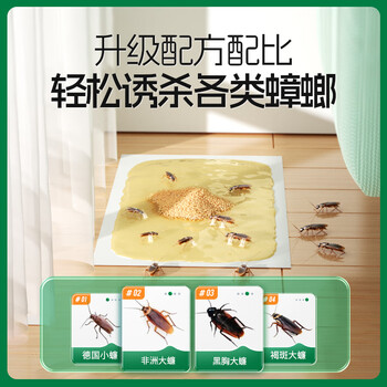 绿叶蟑螂粘板杀蟑螂杀蛮蠊家用蟑螂捕捉器带诱饵20片/盒19V1