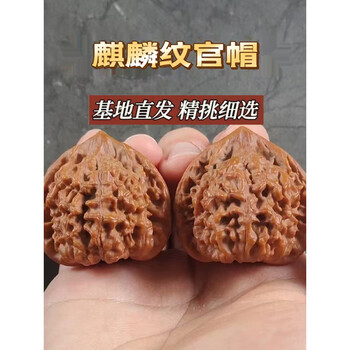日本全国送料無料商品 | 特集 | 文玩核桃大官帽图片- 京东 その他