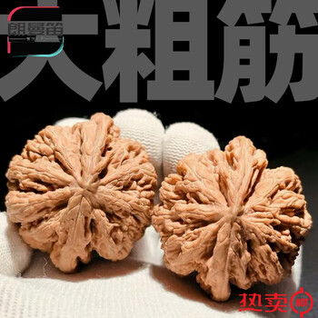 大粗筋狮子头 43尺 大粗筋狮子头 43尺 高端老树文玩核桃大粗筋霸王龙