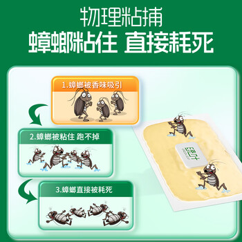 绿叶蟑螂粘板捕蟑螂屋10片/盒新配方引诱剂2130ZZ