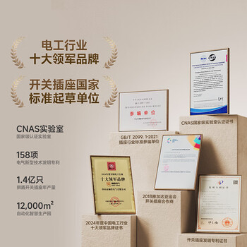 狮盾明装轨道插座 电源开关插头 USB+TYPE-C适配器  黑灰色  