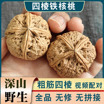 【最上級品種】文玩核桃 全品无修 平谷元宝 41mm 文玩四棱核桃品牌及商品- 京东
