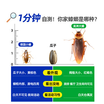 巴斯夫呋虫胺蟑螂药全窝端杀虫剂灭蟑螂胶饵杀蟑胶饵除蟑螂饵剂5g+5g 巴斯夫呋虫胺蟑螂药全窝端杀虫剂灭蟑螂胶饵杀蟑胶饵除蟑螂饵剂5g+5g