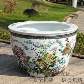 大水缸养金鱼- 京东