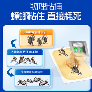 绿叶蟑螂粘板蟑螂药杀蛮蠊室内蟑螂粘纸20片除蟑螂屋2118A 绿叶蟑螂粘板蟑螂药杀蛮蠊室内蟑螂粘纸20片除蟑螂屋2118A