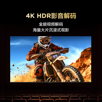 TCL雷鸟电视 43雀5 25款 43英寸 144Hz高刷 2+32GB内存 自定义遥控器 家电电视43F295C